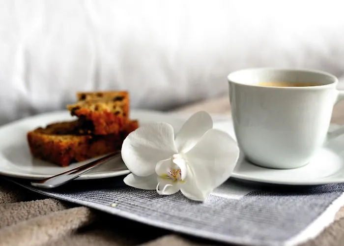 Karls - B24 * 게라